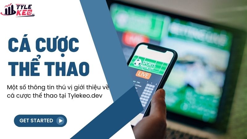 Một số thông tin thú vị giới thiệu về cá cược thể thao tại artcalendr.com